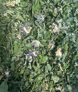 Passionflower Herb