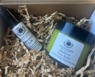 Radiant Face Renewal Set