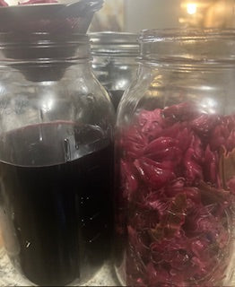 Hibiscus Tincture