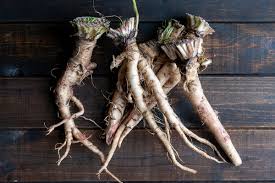 Dandelion Root Tincture