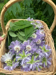Passionflower Herb