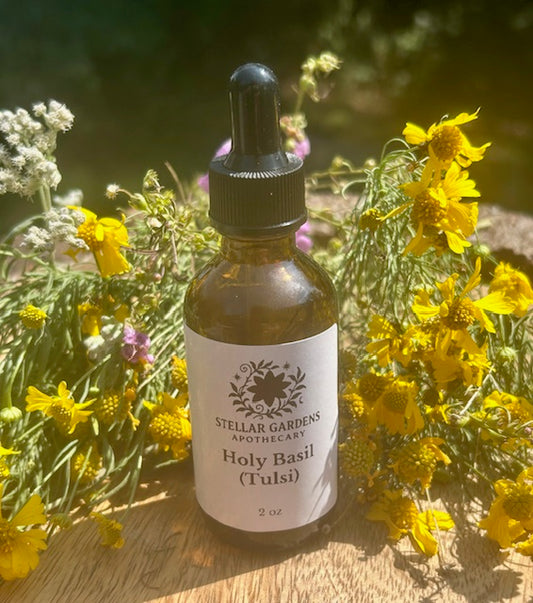 Holy Basil (Tulsi) Tincture