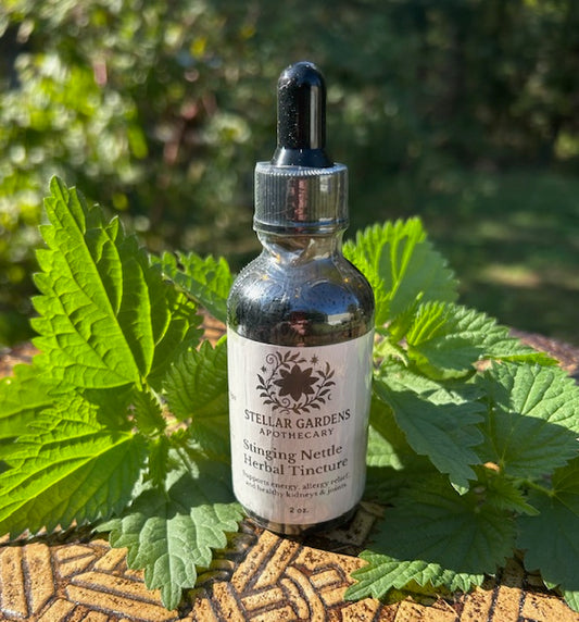 Stinging Nettle Tincture