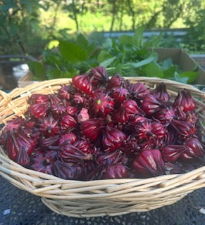 Antioxidant drops