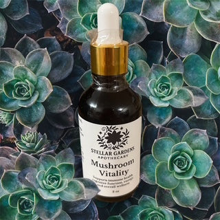 Mushroom Vitality Dual-Extracted Tincture