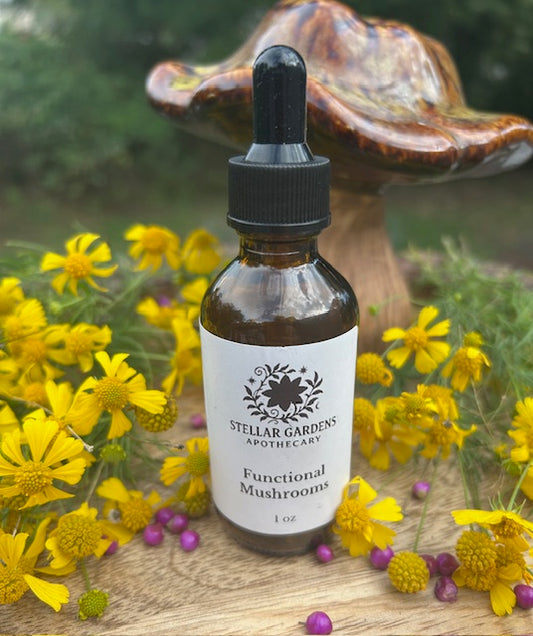 Functional Mushroom Dual-Extracted Tincture